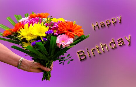 Greeting card greeting congratulations