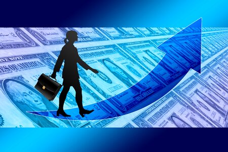 Curve dollar silhouette