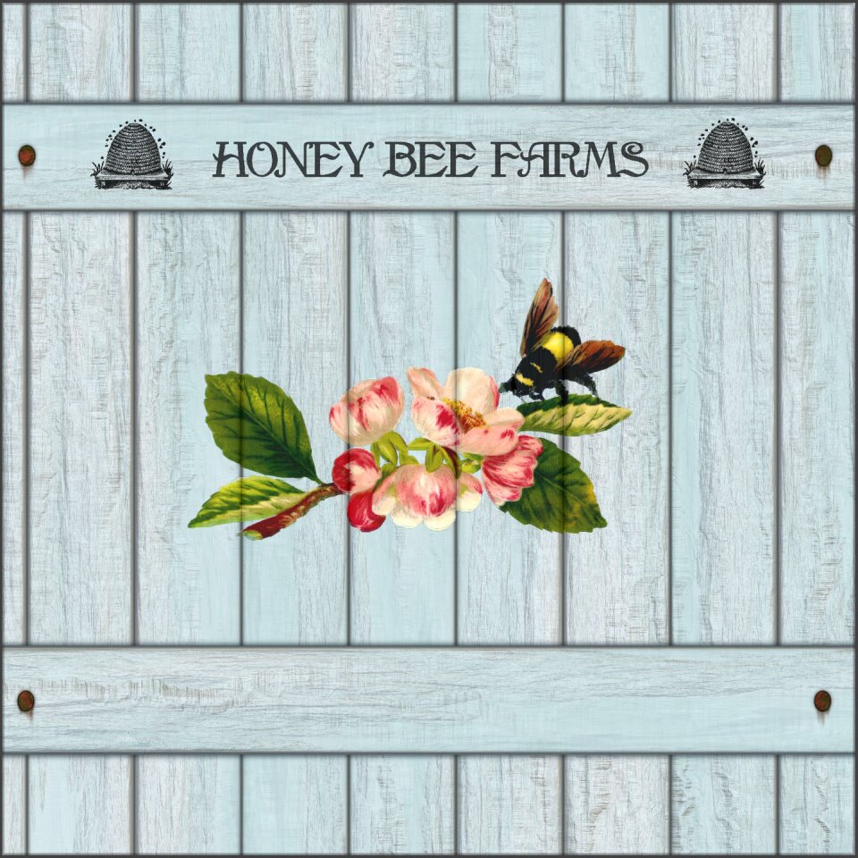 Apple blossoms bumble bee vintage
