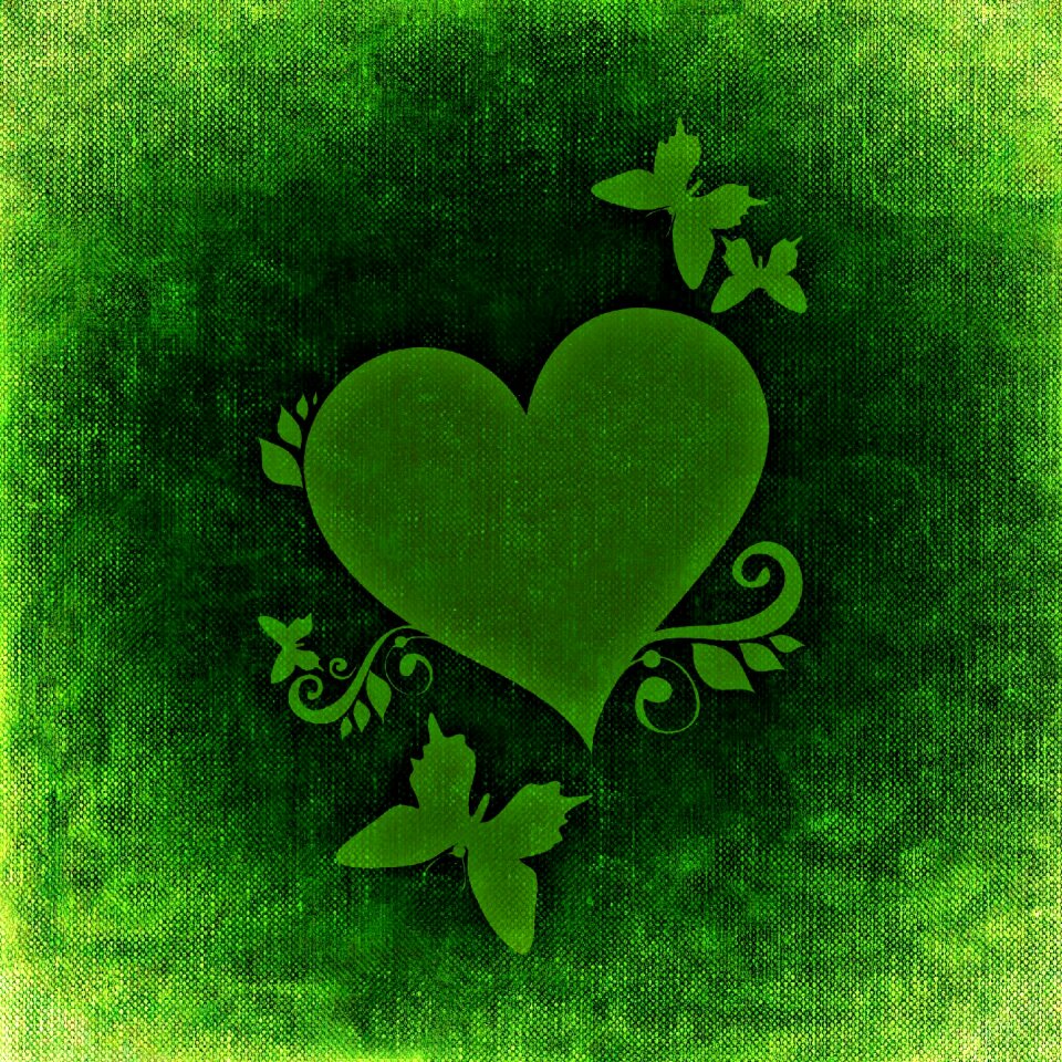 Butterflies romance love