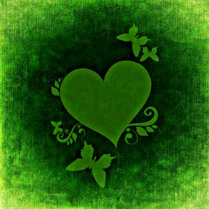 Butterflies romance love