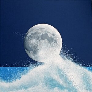 Splash night Free illustrations