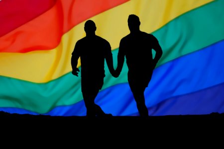 Gay partner friendship