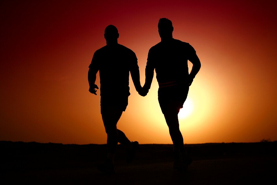 Gay partner friendship