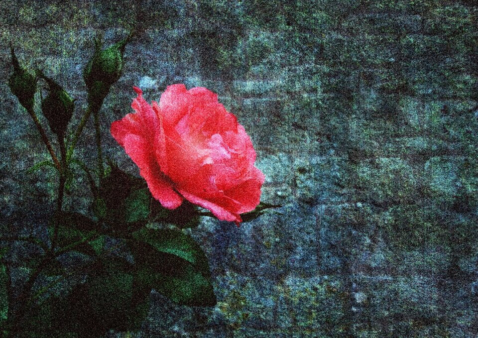 Former painting flowers
