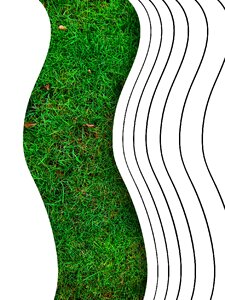 Meadow green pattern
