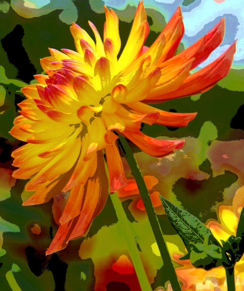Flower nature late summer