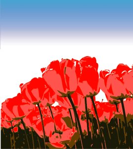 Illustration flowers Free illustrations