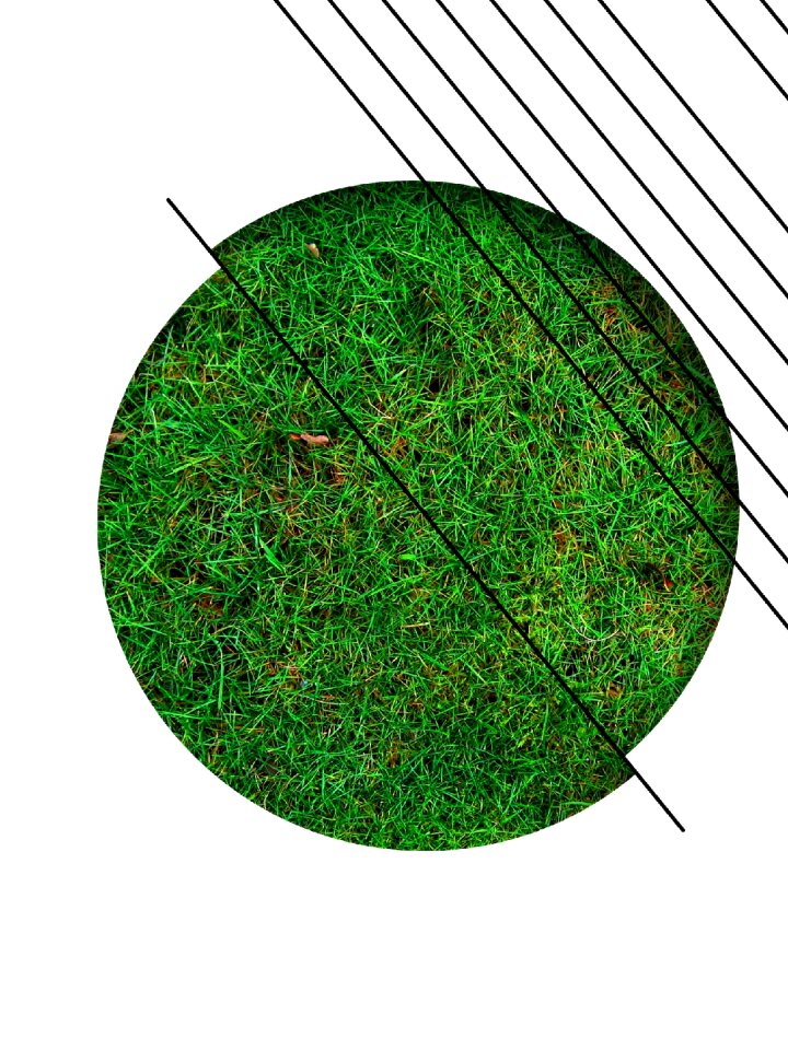 Meadow green pattern