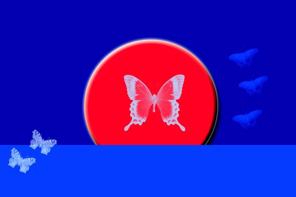 Butterflies frame Free illustrations