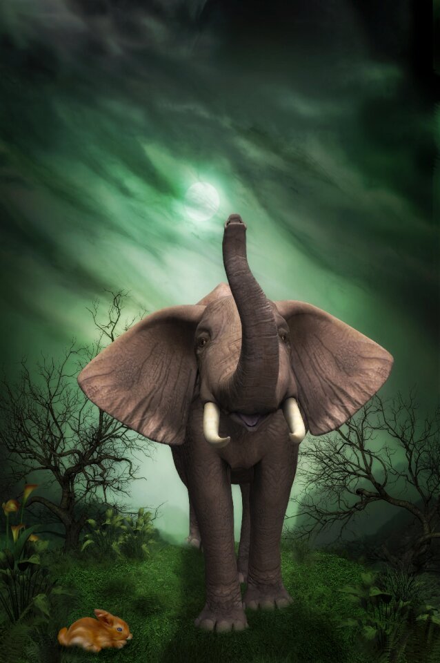 Fantasy digital art composing
