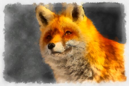 Little fox nature animal world