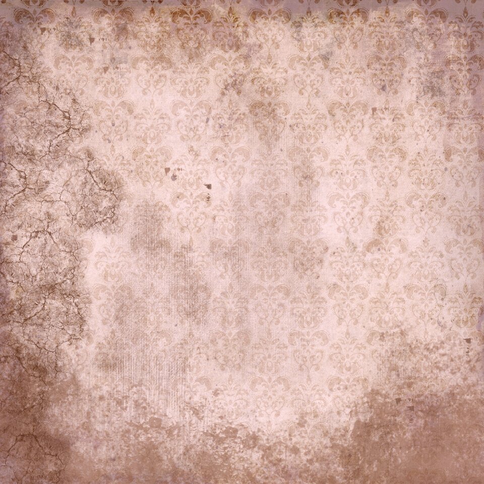 Scrapbook scrapbooker Free illustrations
