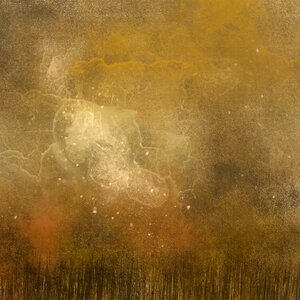 Grunge brown beige