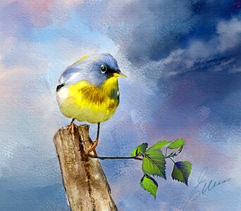 Digital oils feathers outdoors