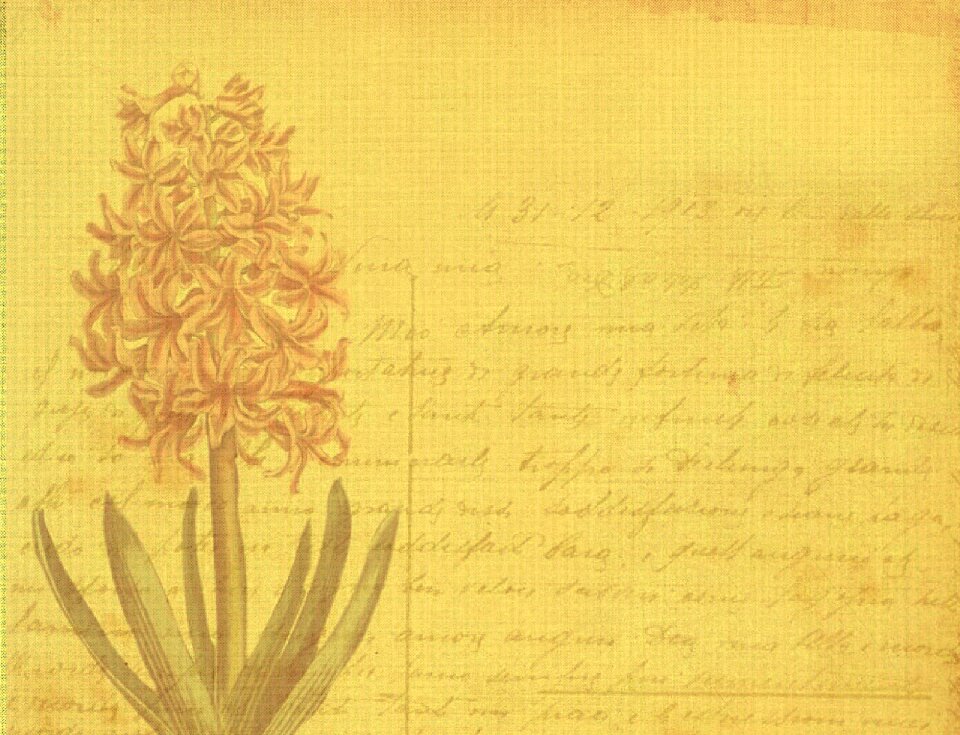 Flower postcard message