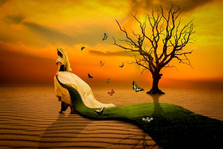 Tree butterflies grass