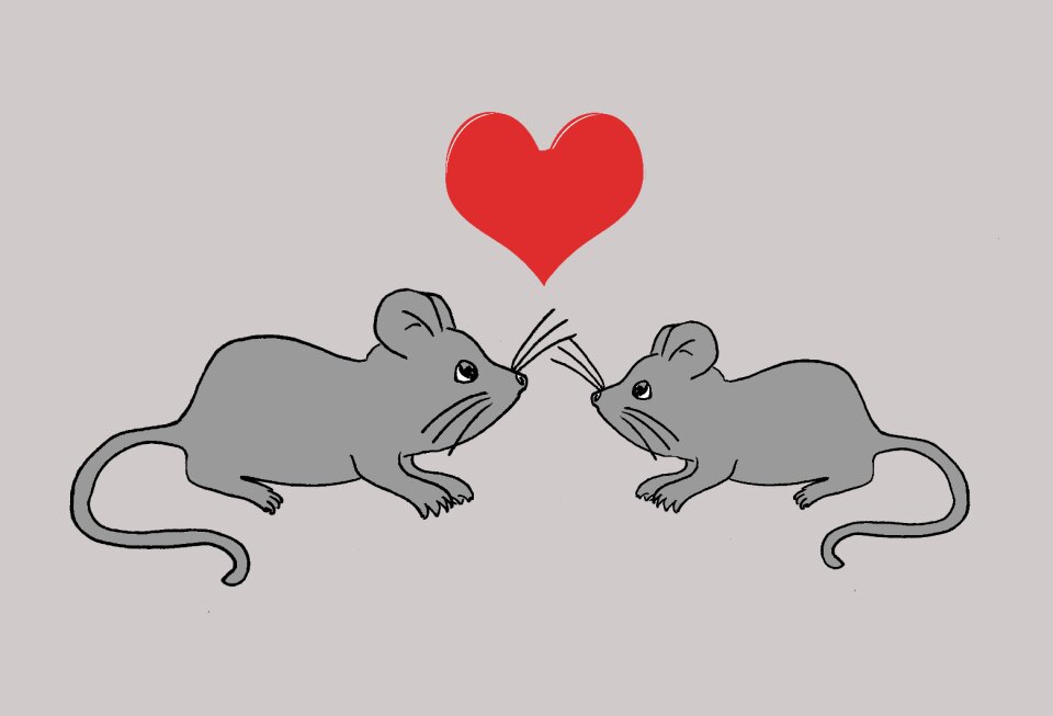 Valentine's day sweet cute