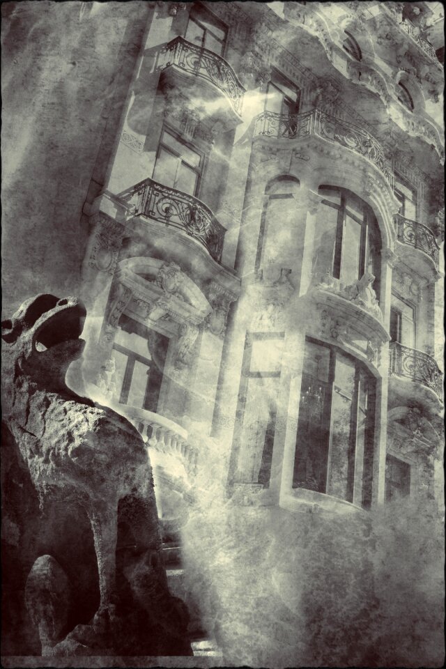 Fantasy house windows