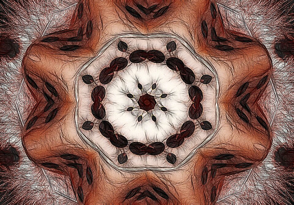 Graphics abstraction Free illustrations