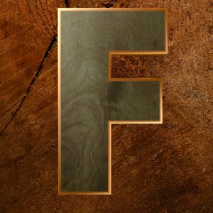 Wooden alphabet alphabet letters