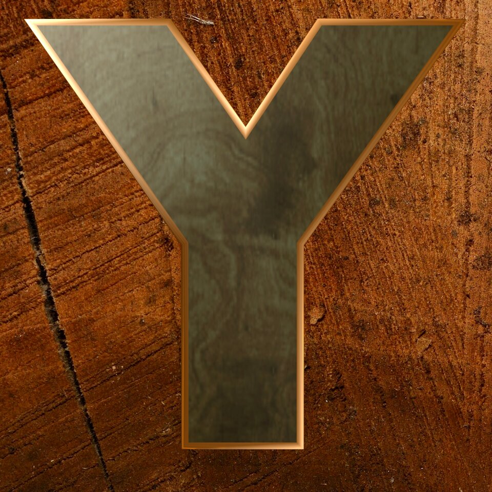 Wooden alphabet alphabet letters