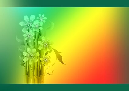 Flowers bouquet bamboo
