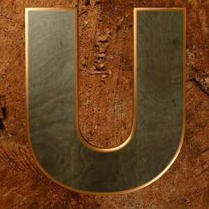 Wooden alphabet alphabet letters
