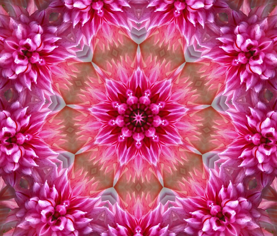 Pink abstract concentric
