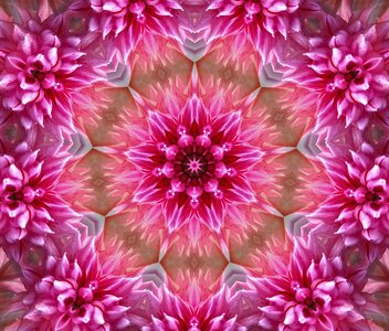 Pink abstract concentric