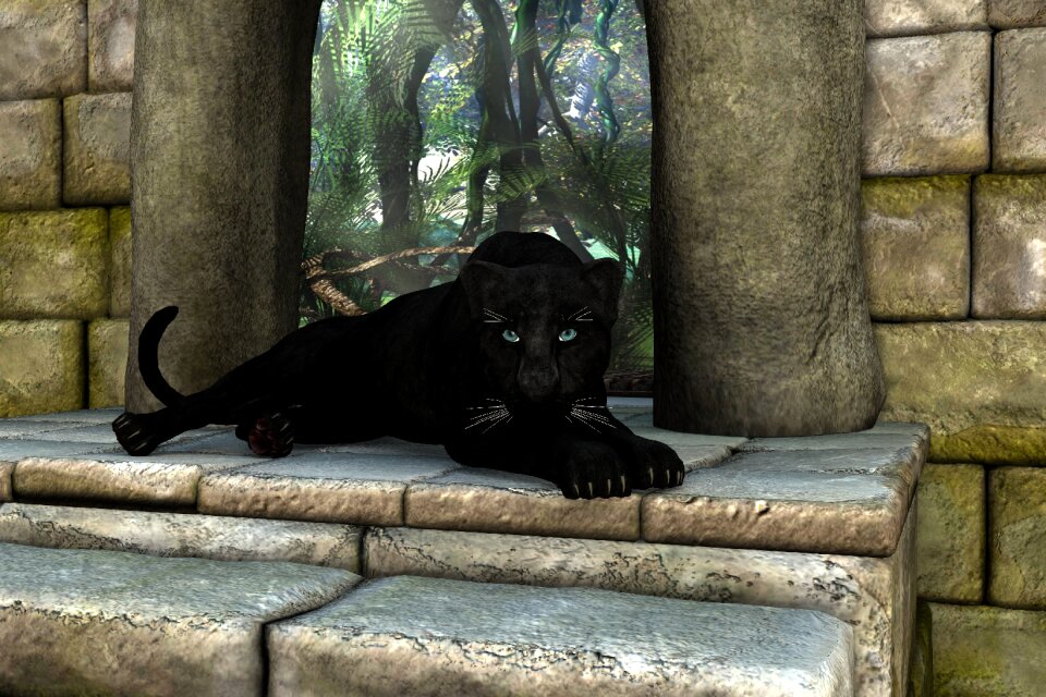Mood cat black cat