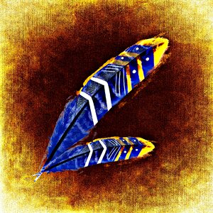 Plumage colorful Free illustrations