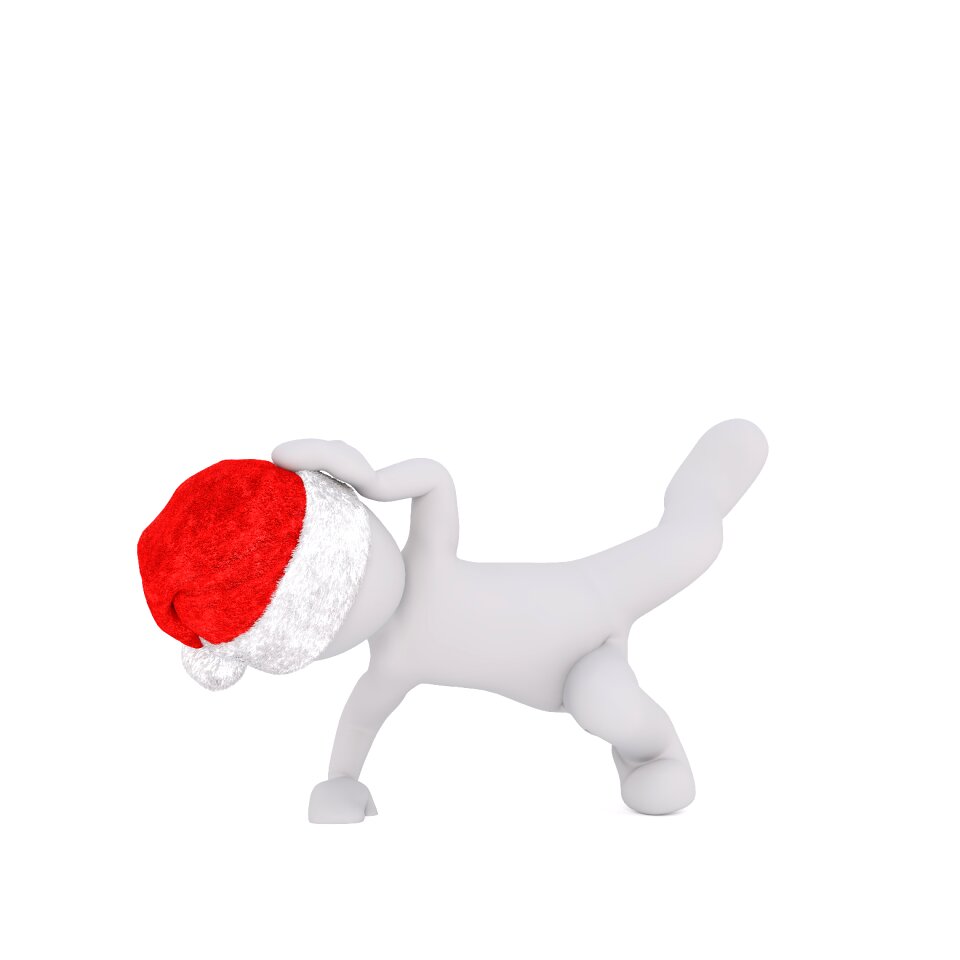 Santa hat 3d model figure