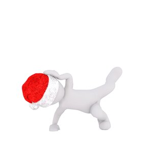 Santa hat 3d model figure