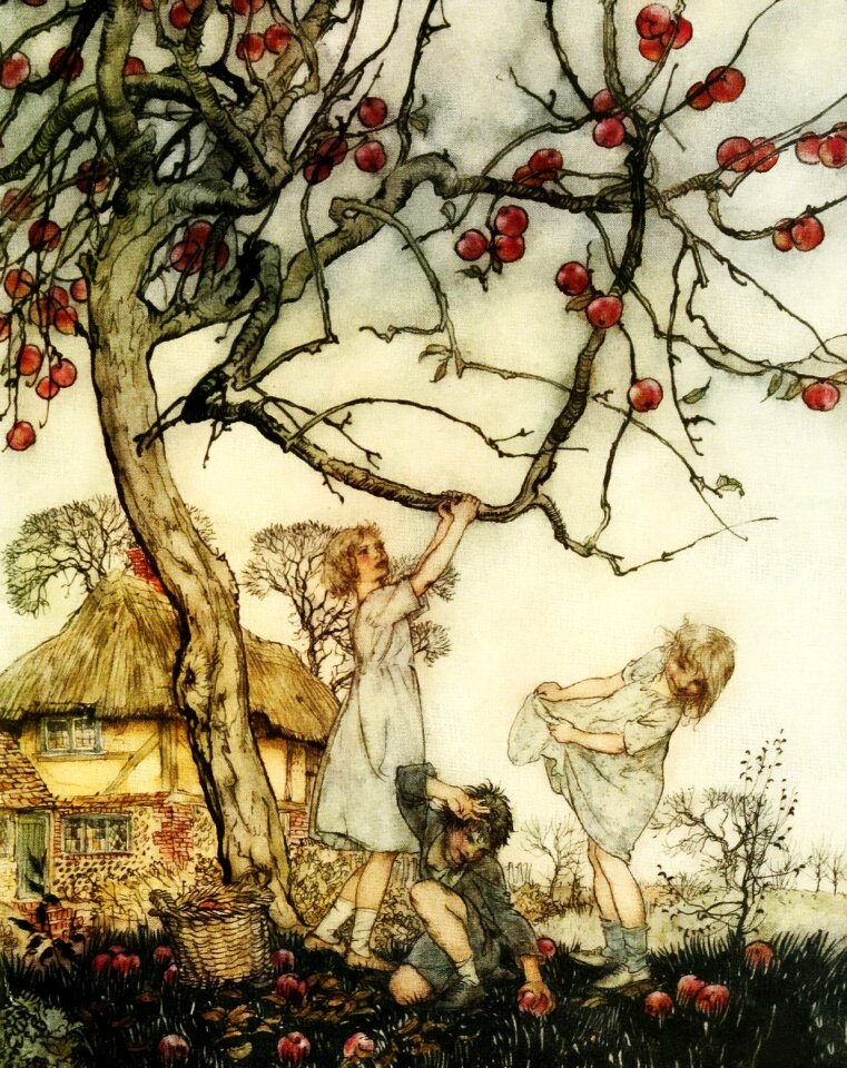 Literature fairytale stories