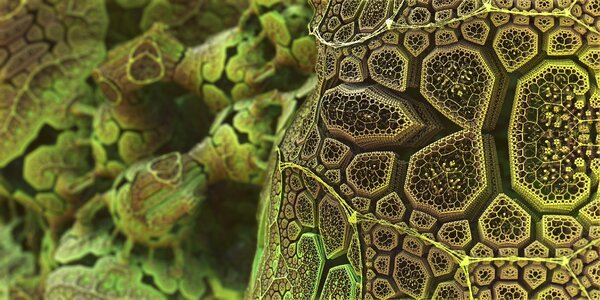 Sea microbiology nature