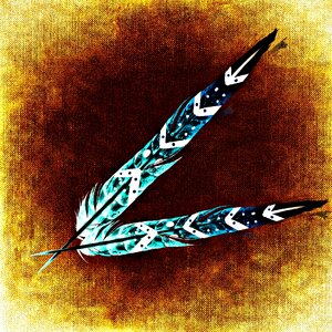 Plumage colorful Free illustrations