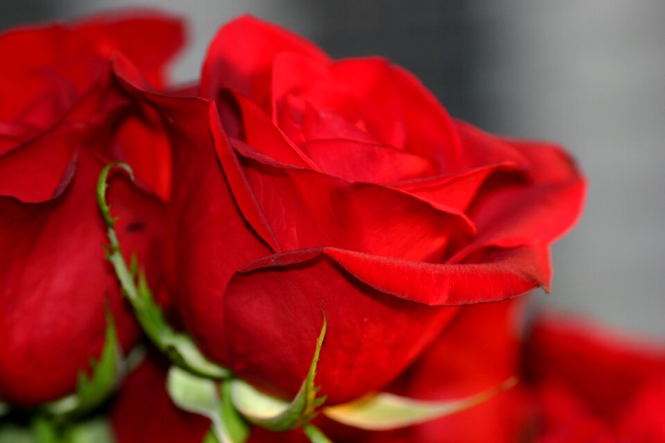 Valentine wedding red