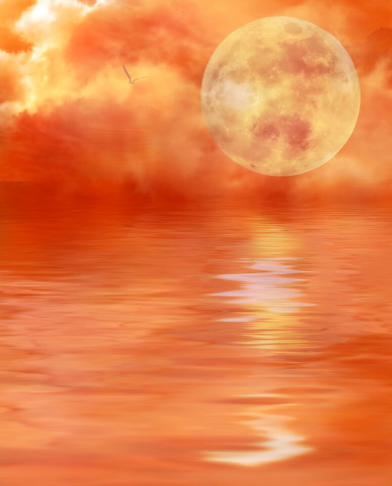 Mystic nature sky