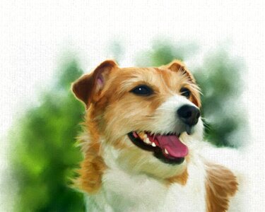 Canine animal friend
