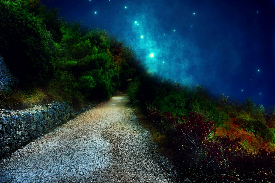Path trees adventure