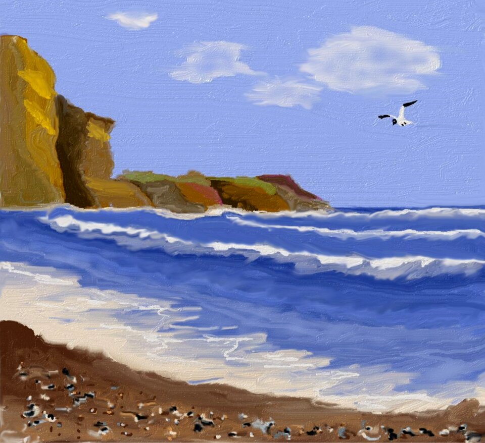 Beach sand mussels