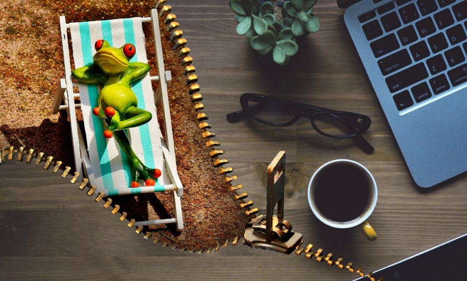 Recovery frog funny