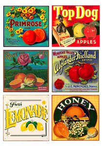 Products collage scrapbooking