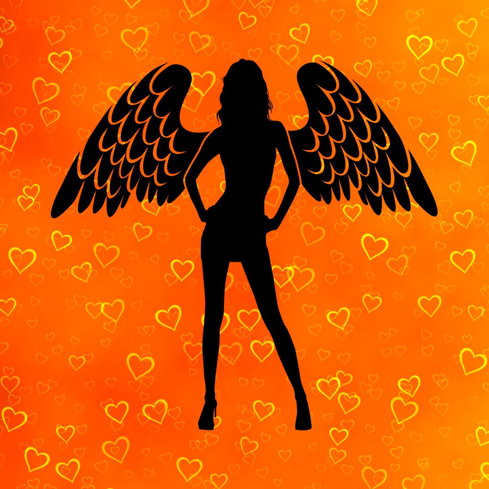 Silhouette valentine orange love