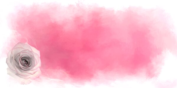 Pink design pink color Free illustrations