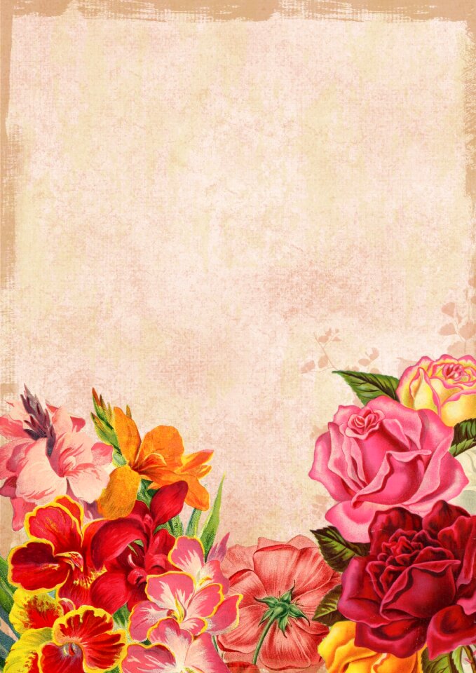 Background red pink