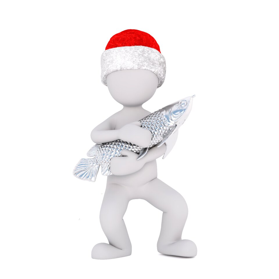 Santa hat 3d model fish