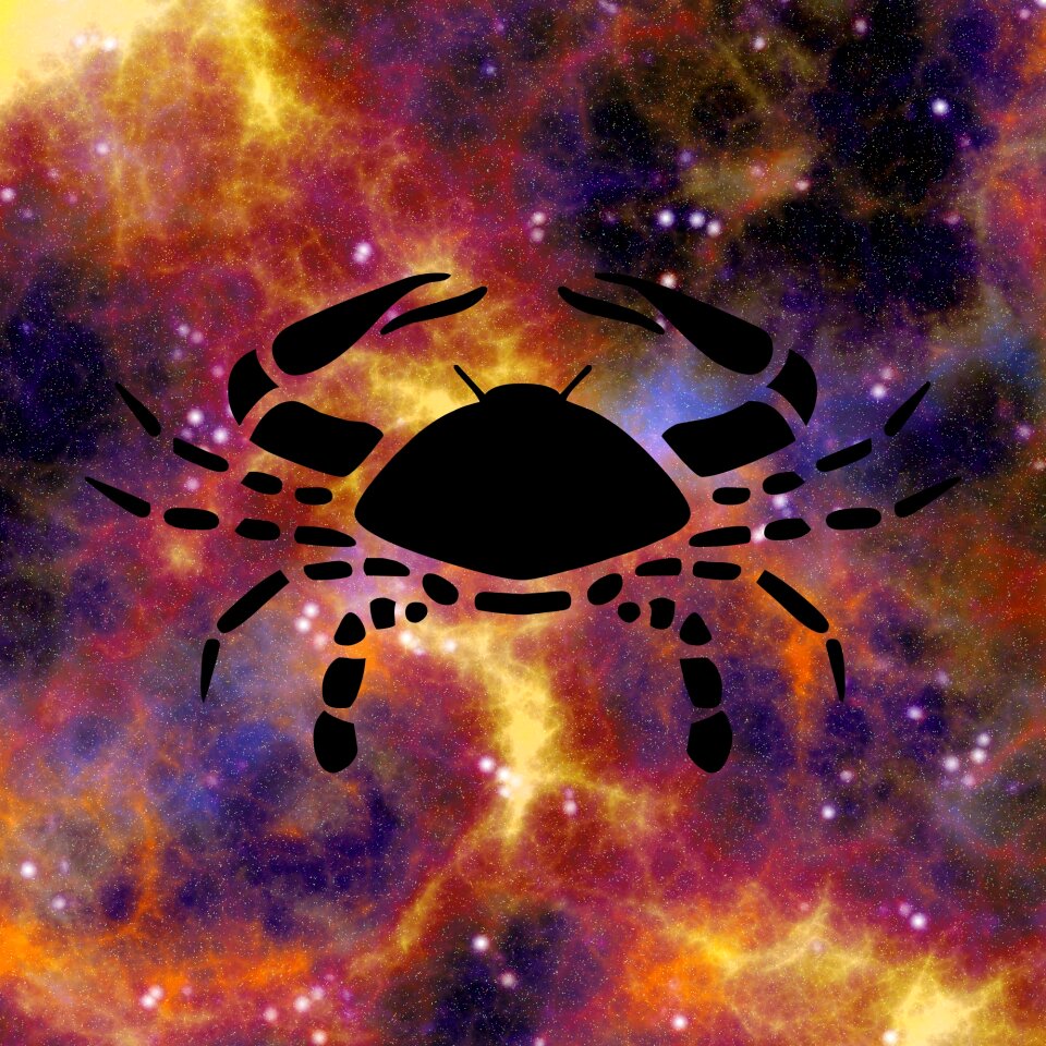 Astrological zodiacal fortune