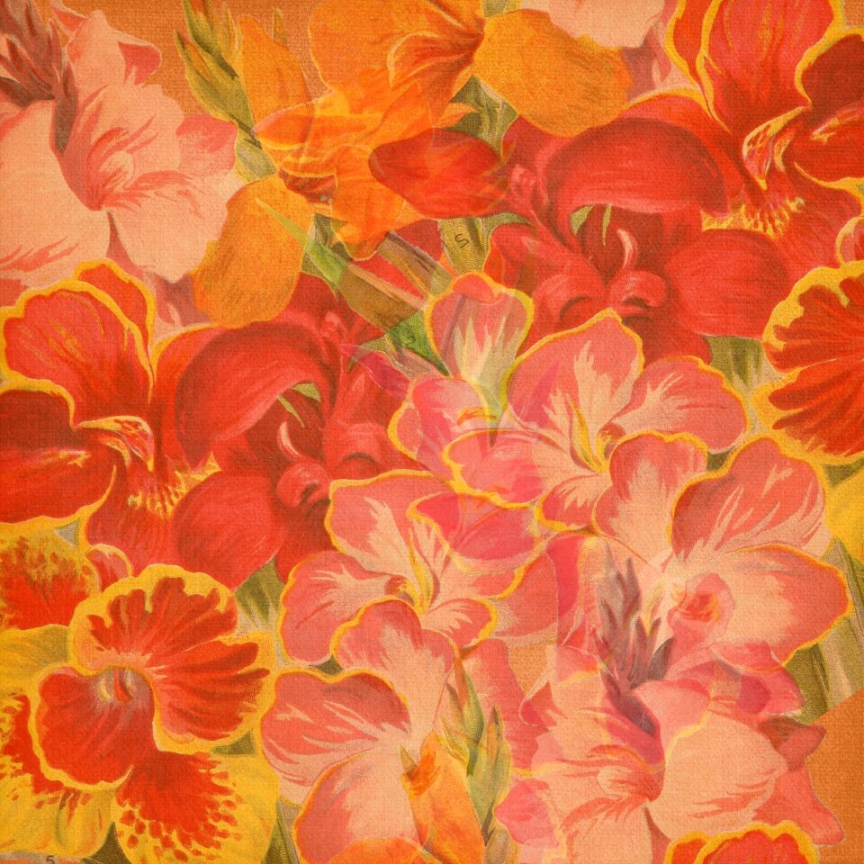 Background red pink